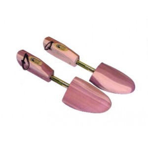 Hale Shoe Tree 